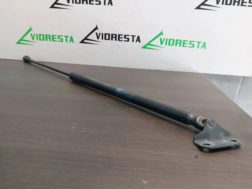Tagaluugi gaasiamortisaator
