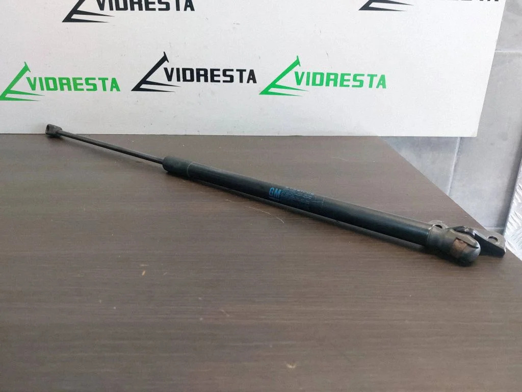 Tagaluugi gaasiamortisaator 315005777