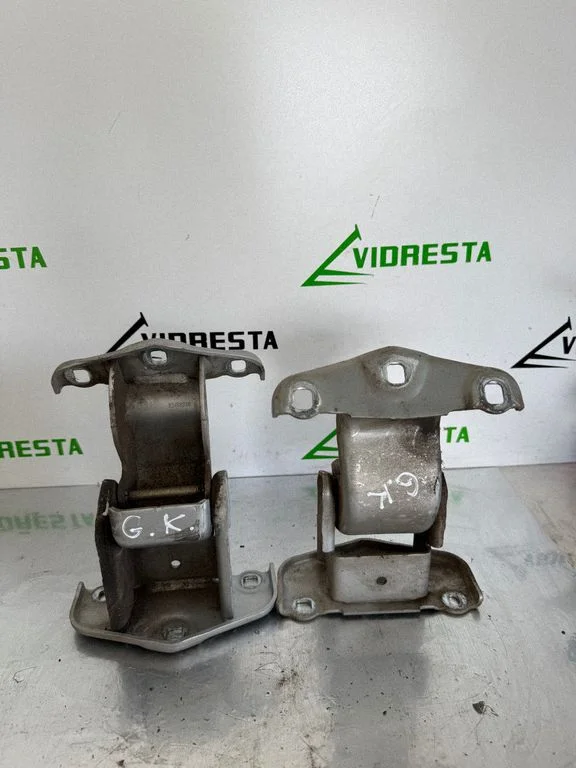 Tagaukse hingede komplekt 904108626R