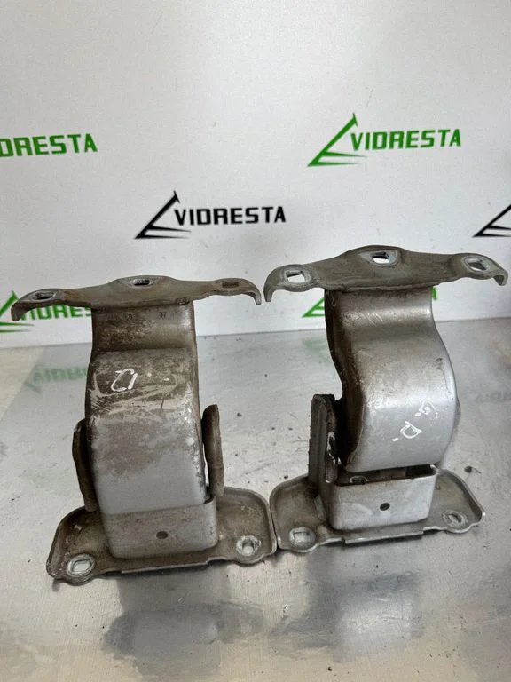 Tagaukse hingede komplekt 904108626R