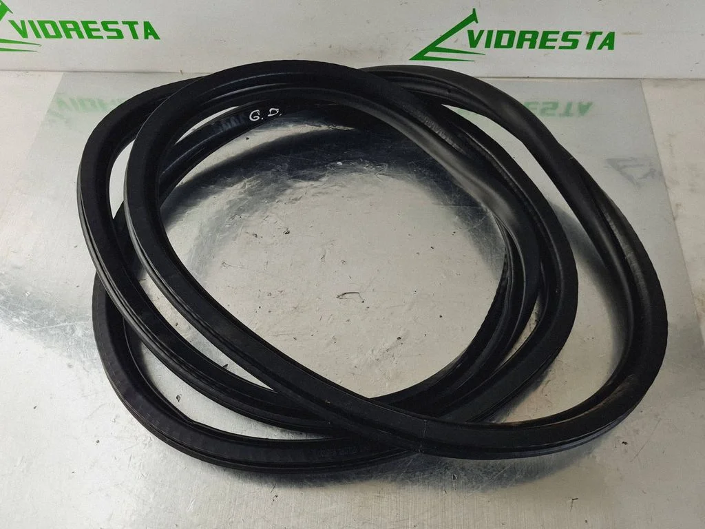 Rear door rubber seal (on body) 9811538180