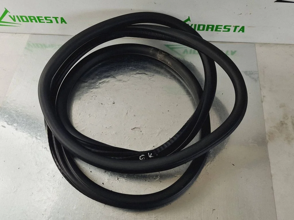 Rear door rubber seal (on body) 9811538180