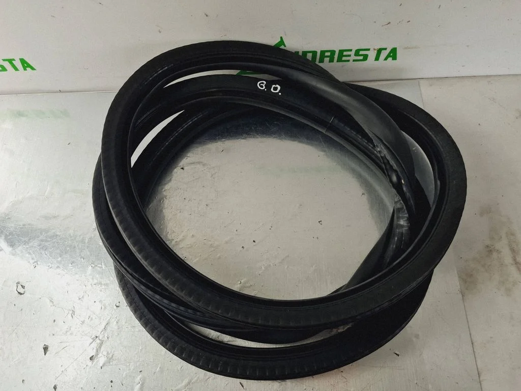 Rear door rubber seal (on body) – rear right