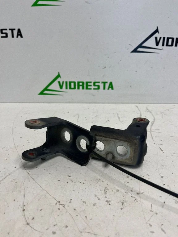 Rear door hinge set