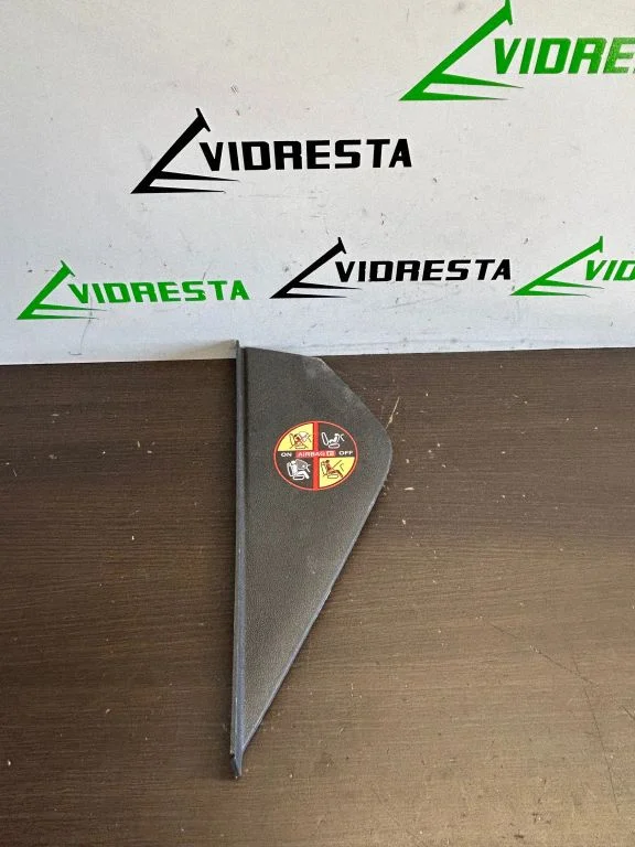 Armatuurlaua külje viimistluspaneel 689210016R