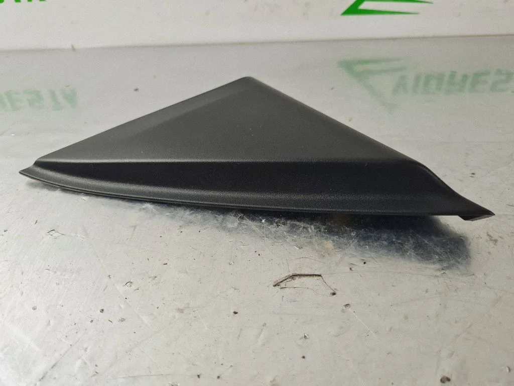 Other front door trim element 9823233280