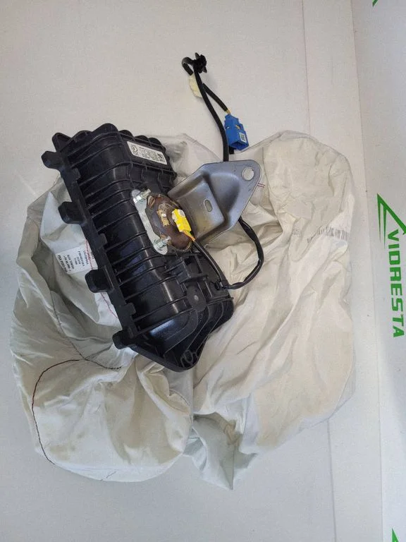 Passenger airbag L8LS01901