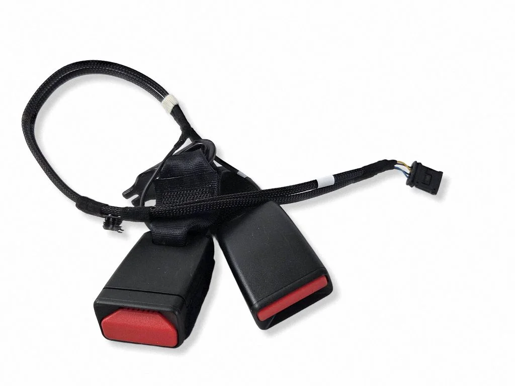 Rear seatbelt buckle 6403040
