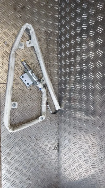 Roof airbag 31291248