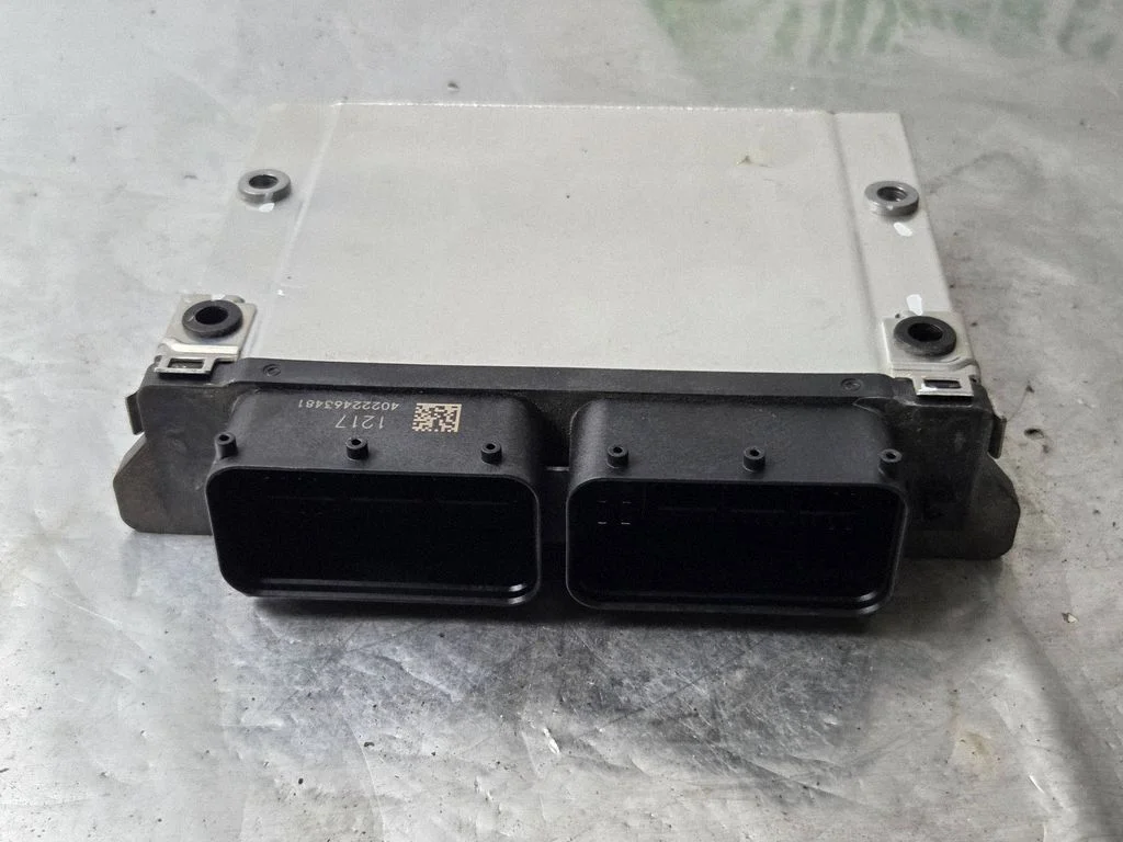Engine control unit/module 3910607196