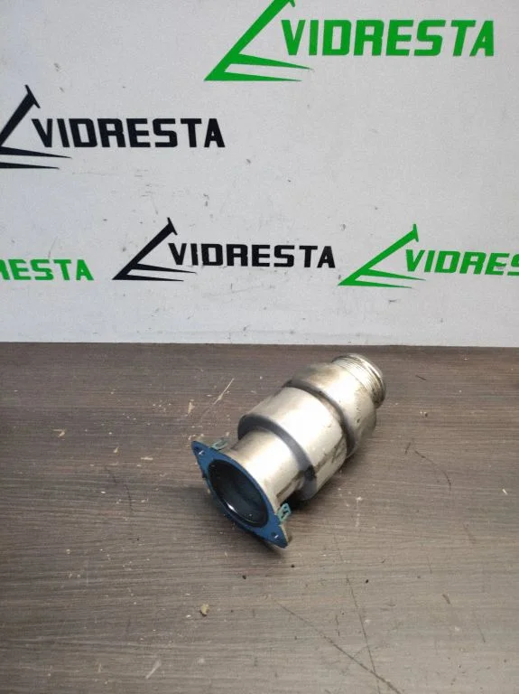 Zawór EGR 98173