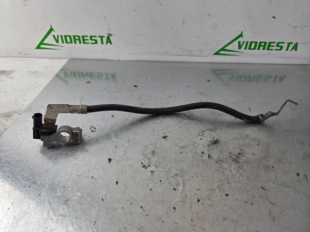 Negative earth cable (battery) C95YWSW46
