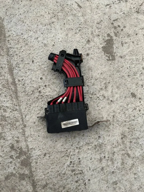 Positive wiring loom 243170003R