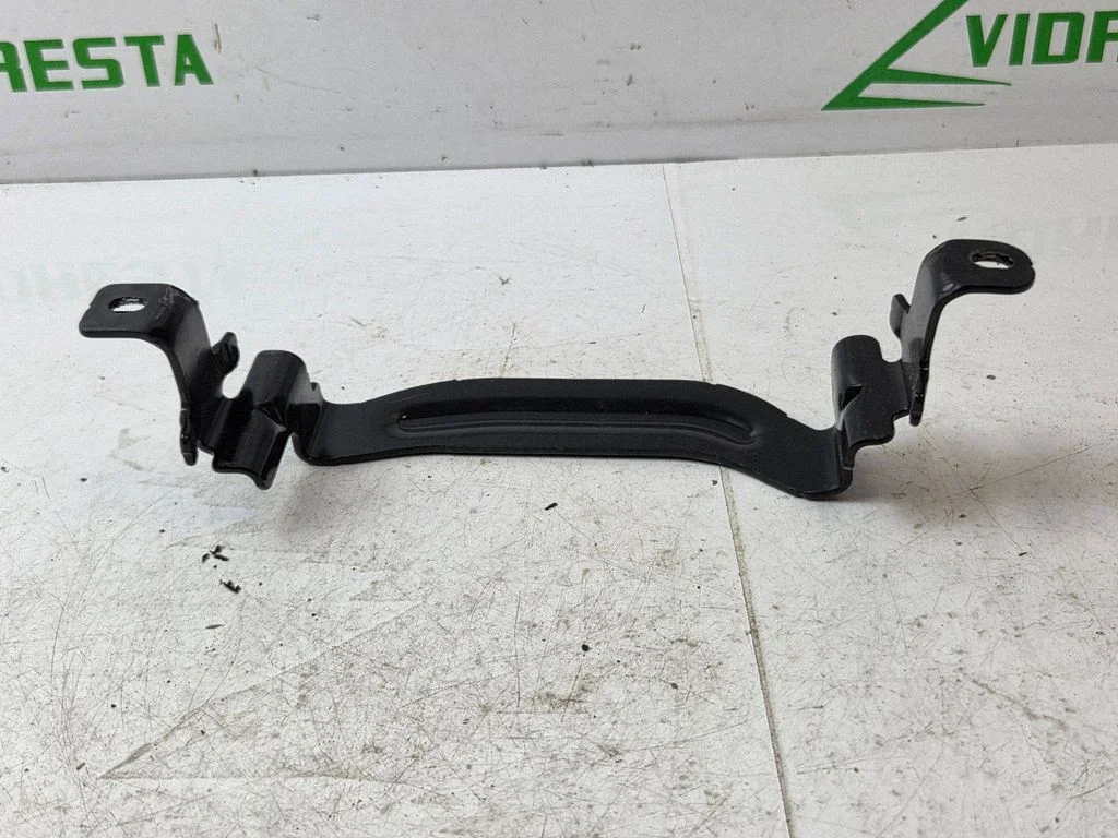Battery bracket 244380003R