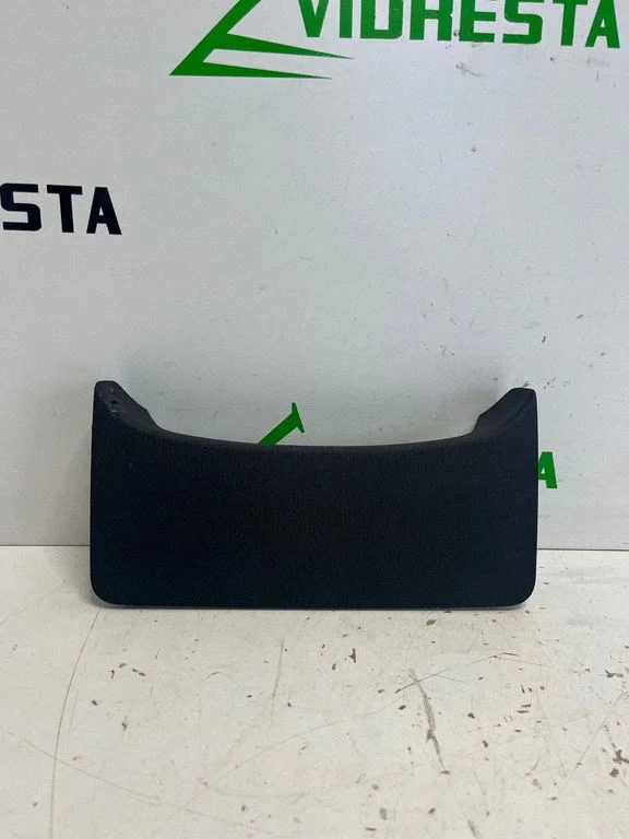 Radio/GPS head unit trim D10A55221