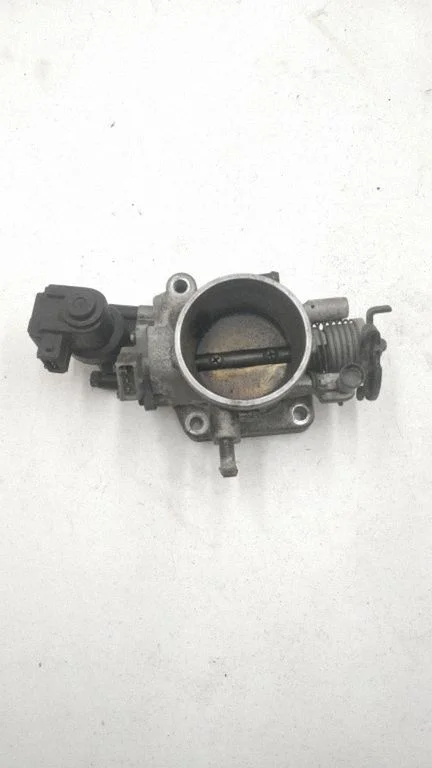 Elektriline drosselklapi korpus – Hyundai Santa Fe (2000-2006)