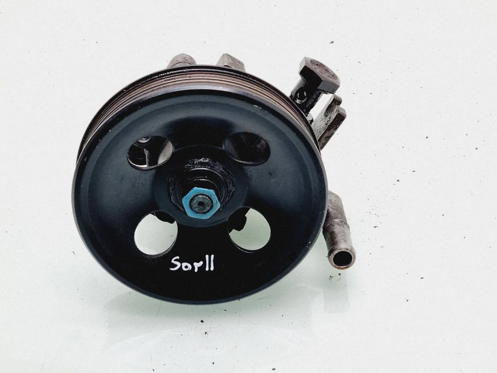 Power steering pump 494D4620