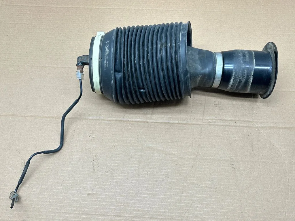 Rear air suspension bag/shock absorber 16165443010