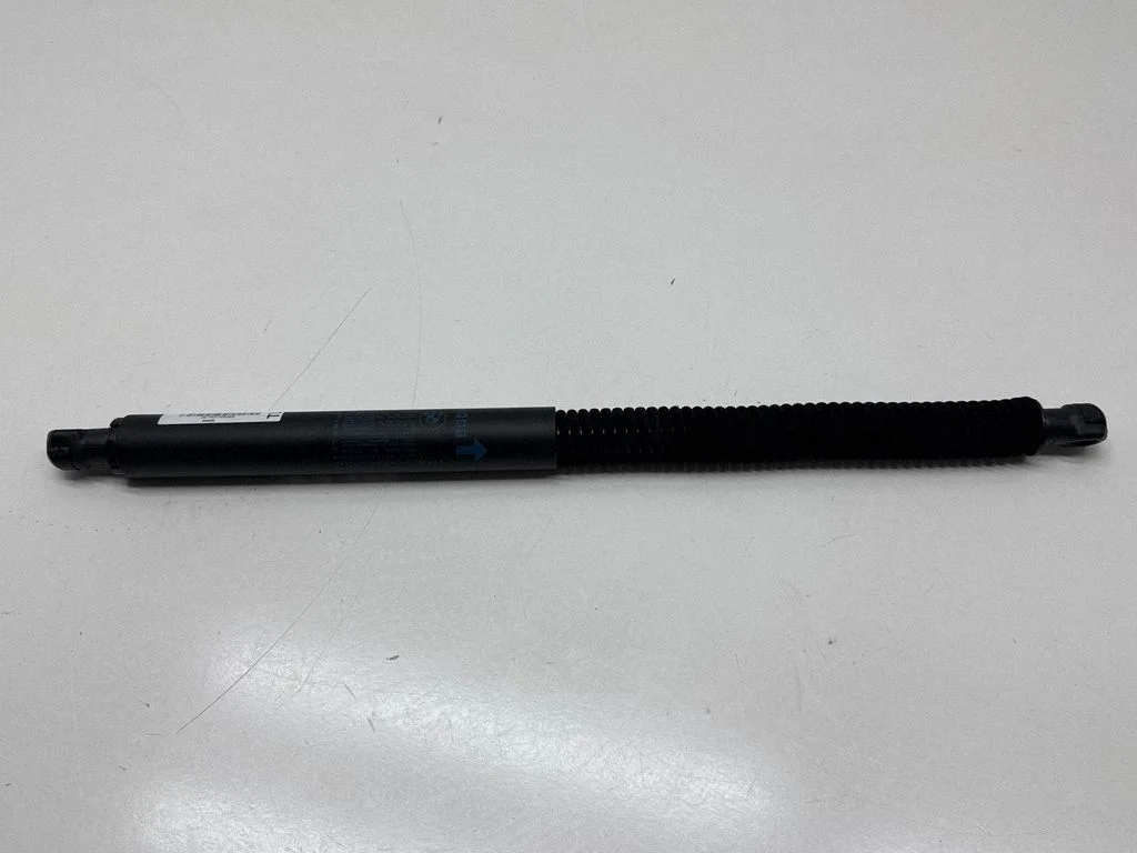 Tailgate/trunk strut/damper 7497482