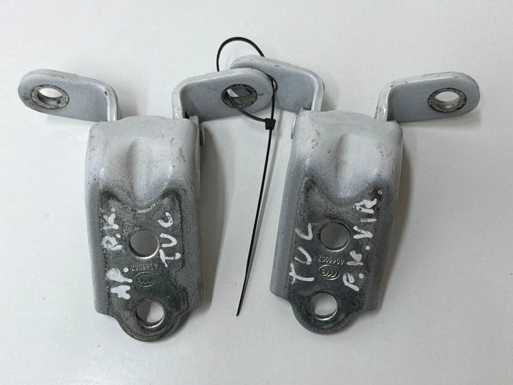 Front door hinges set – front left