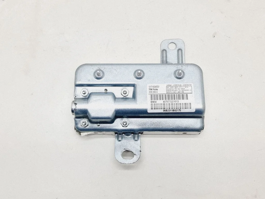 Rear door airbag 407077221013