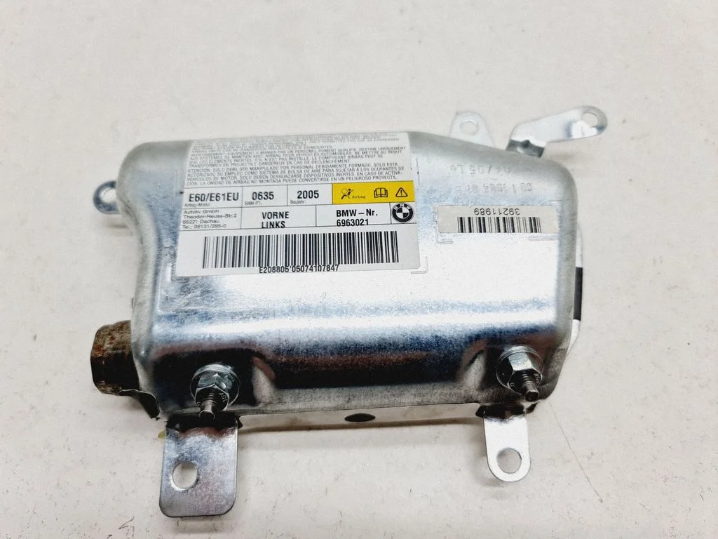 Front door airbag 6963021