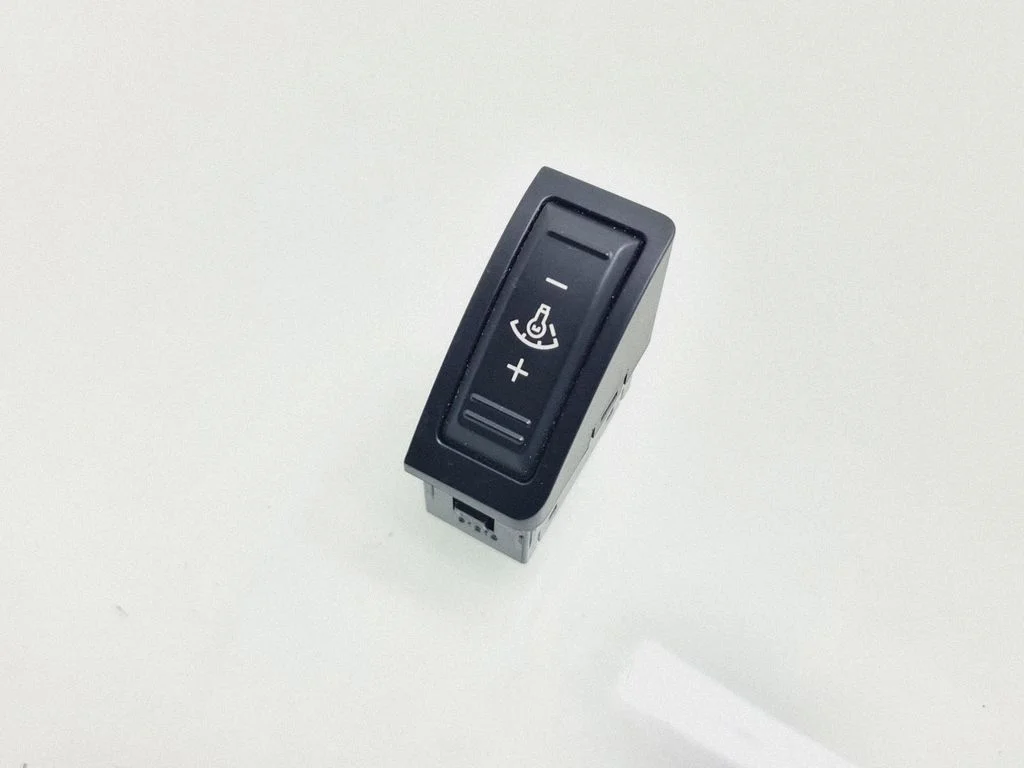 Panel lighting control switch