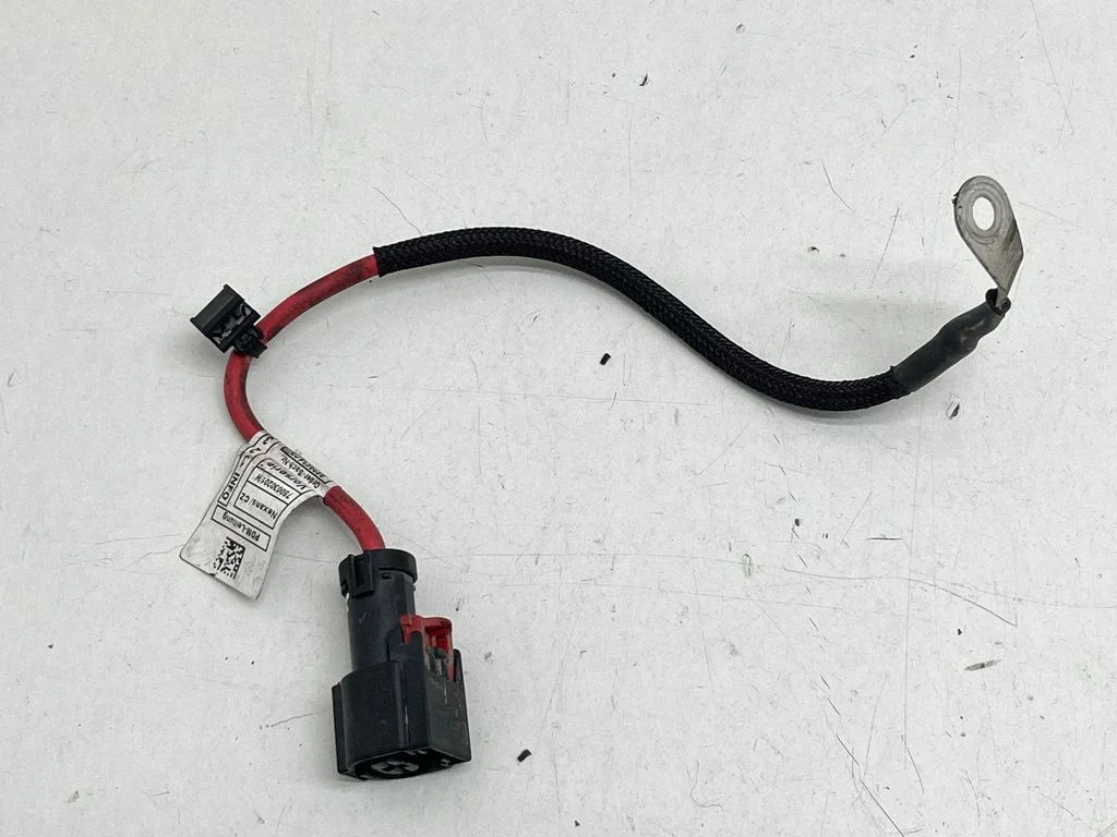 Positive wiring loom 750030201H