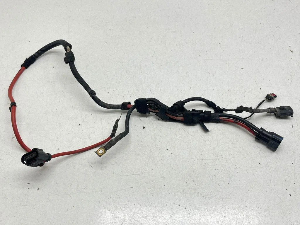 Positive wiring loom 61129367661