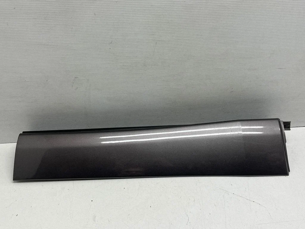 Rear door trim (molding) 750750E071