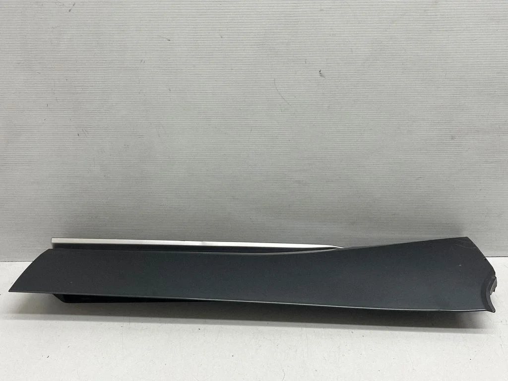 Rear door trim (molding) 757410E120