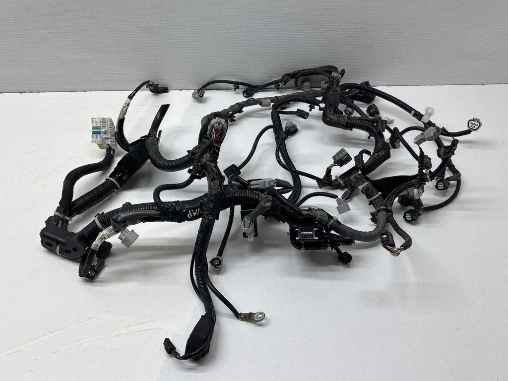 Mootori juhtmestik 24020AG74A
