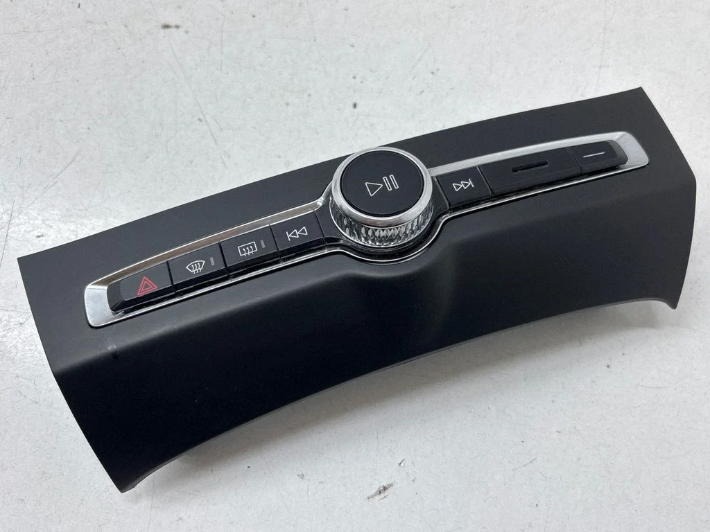 Head unit multimedia control 31398845