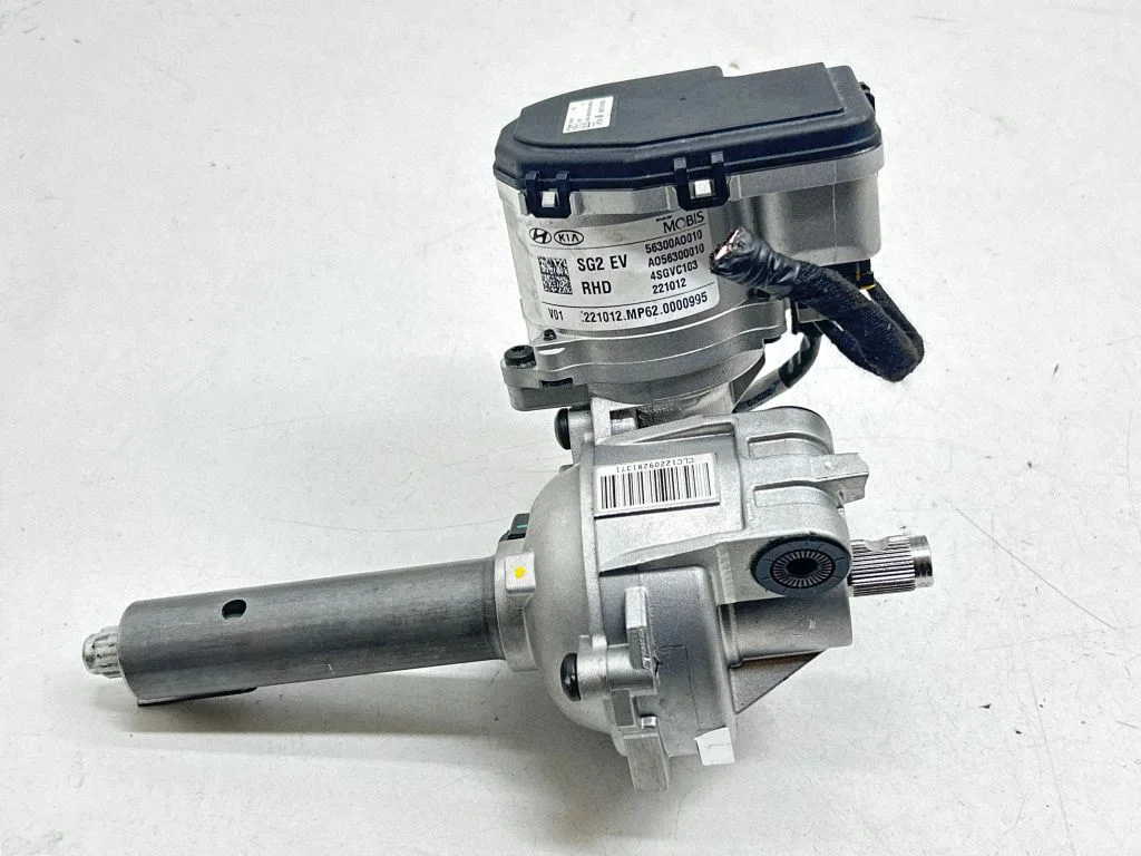 Electric power steering pump 56300A0010