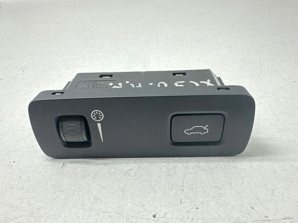 Tailgate opening switch P31376510