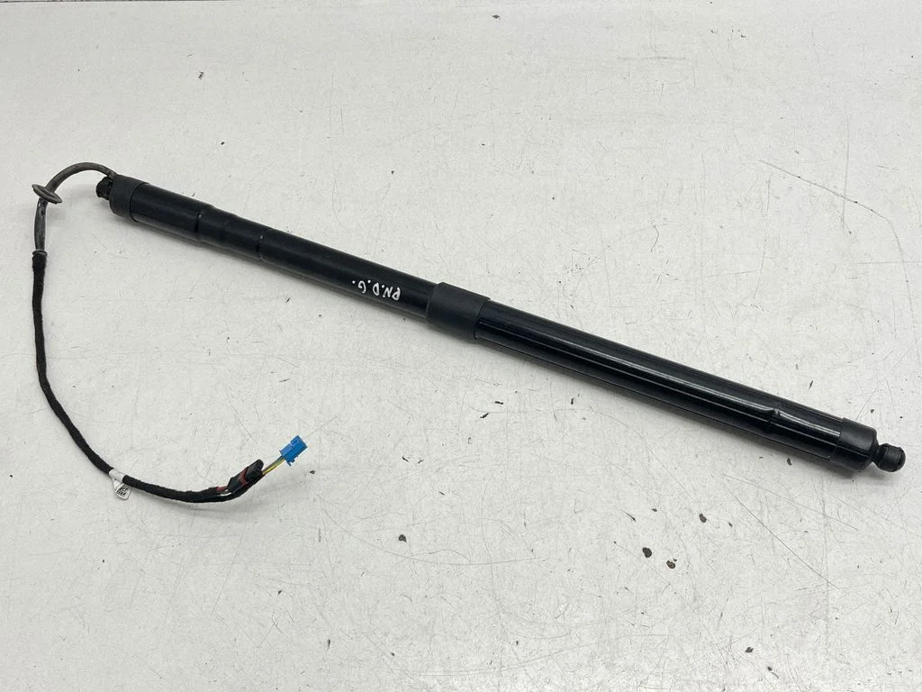 Tailgate strut 97051257316