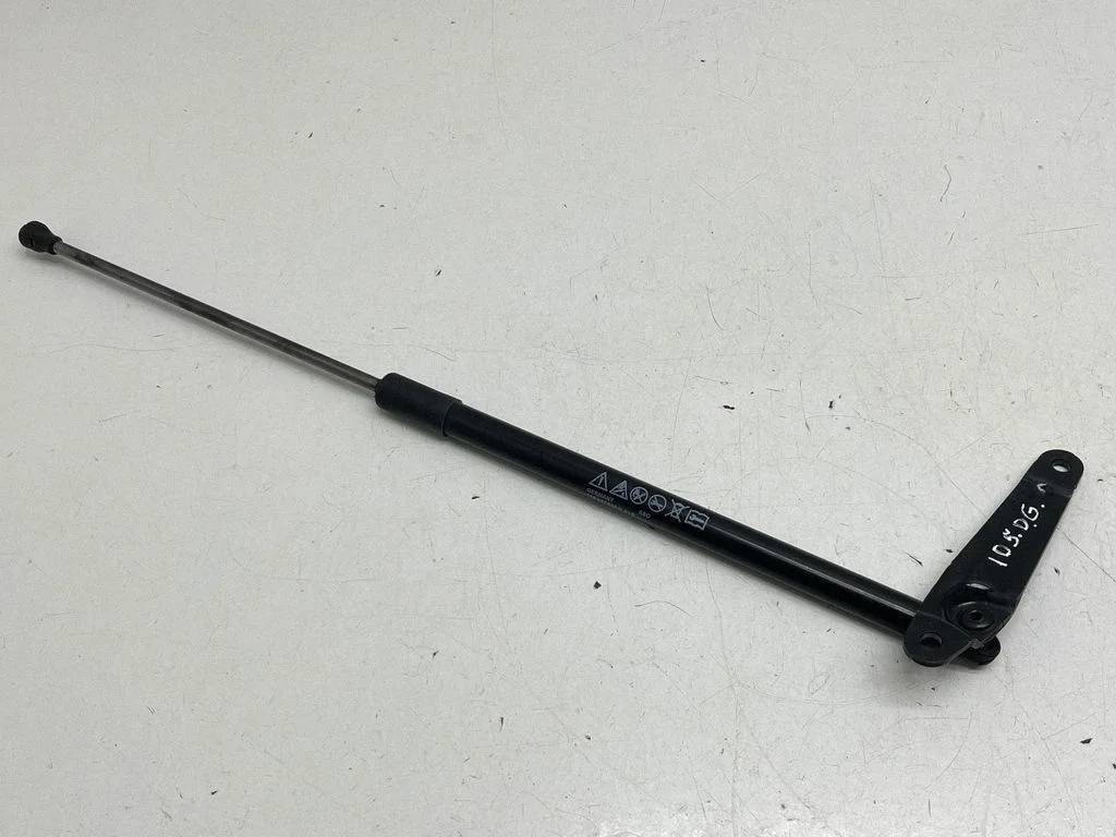 Tailgate strut 1E827550C