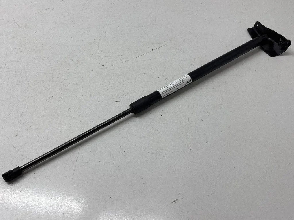 Tailgate strut SL240508