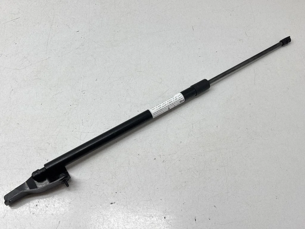 Tailgate strut SL240508