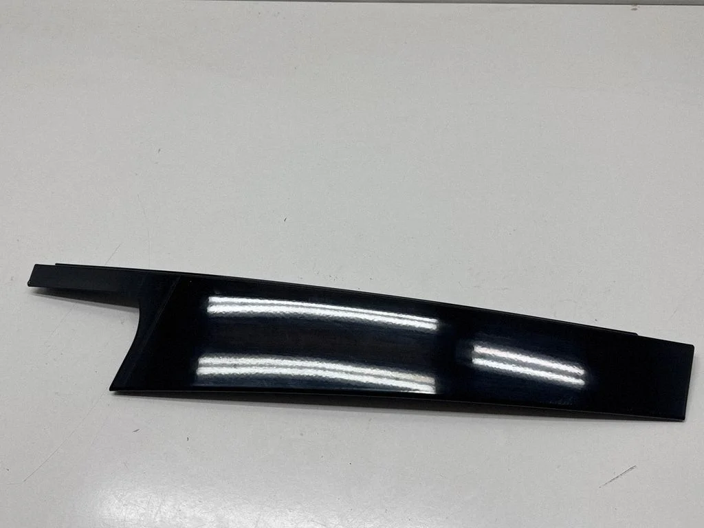 Rear door glass trim molding 7410046