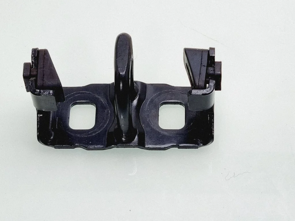 Trunk lock loop 40207170