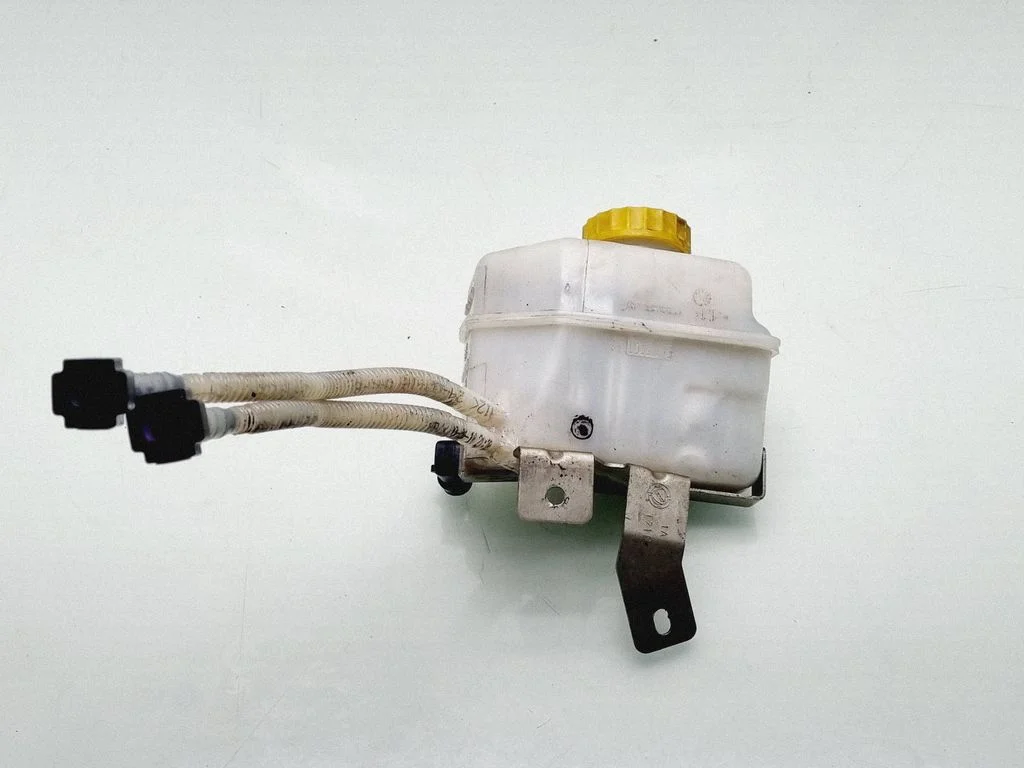 Pidurivedeliku paisupaak 0204y24819
