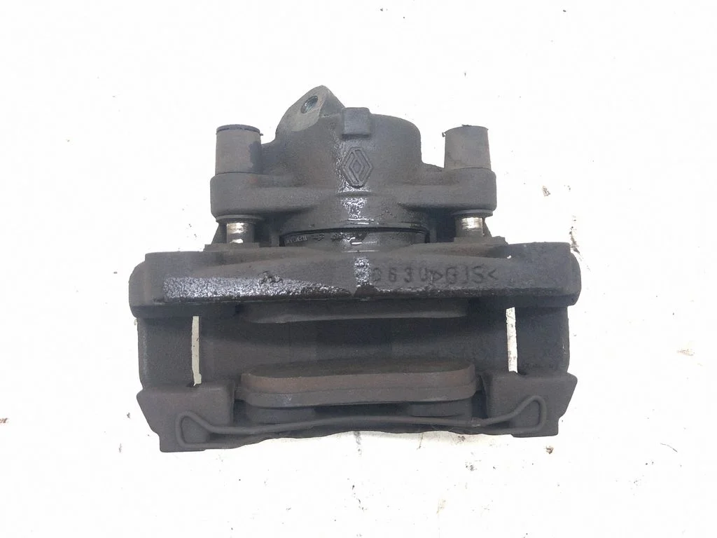 Front brake caliper 410111495R