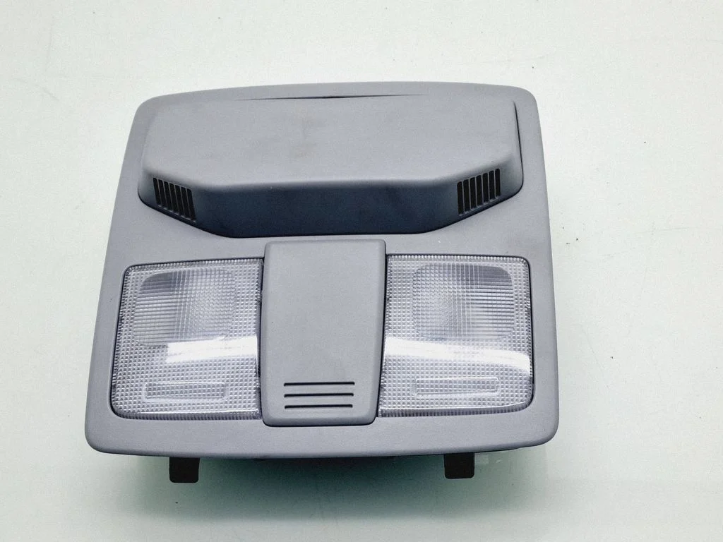 Front seat light 928002RXXX