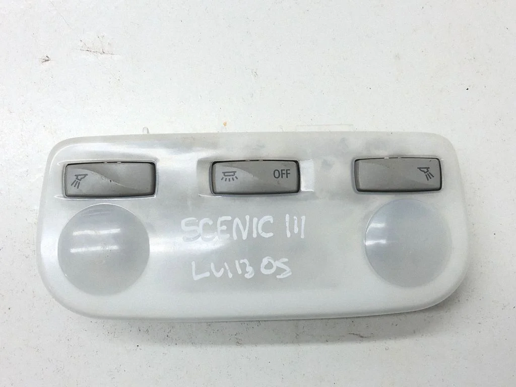 Front seat light 264300008R