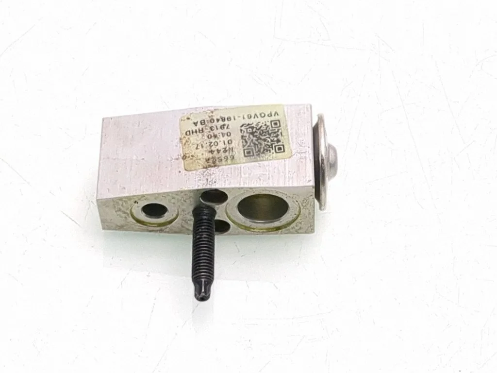 Air conditioning (A/C) expansion valve H1F119849AA