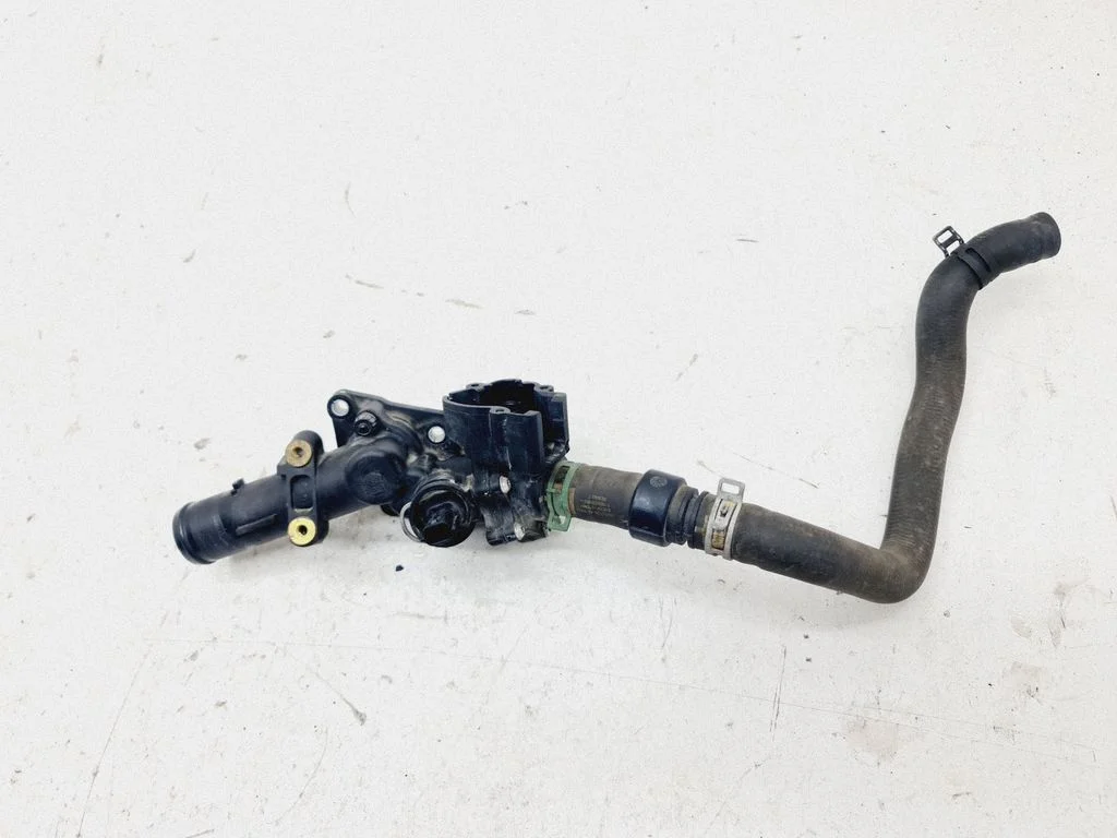 Thermostat/thermostat housing 110609813R