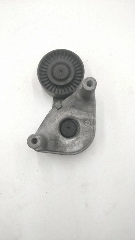 Generator/alternator belt tensioner 2528137