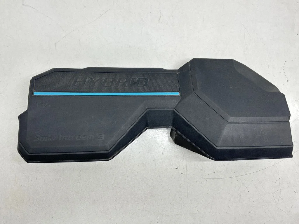 Engine cover (trim) 292402M820