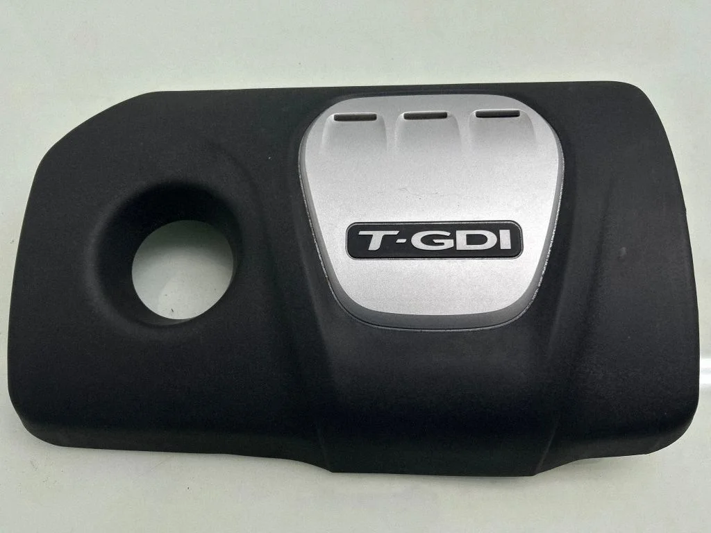 Engine cover (trim) 292402B100